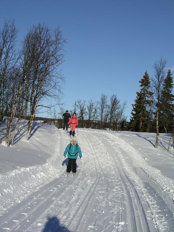 Birkelund Camping ヤイロ エクステリア 写真