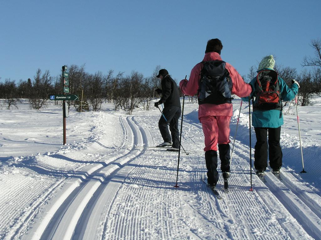 Birkelund Camping ヤイロ エクステリア 写真