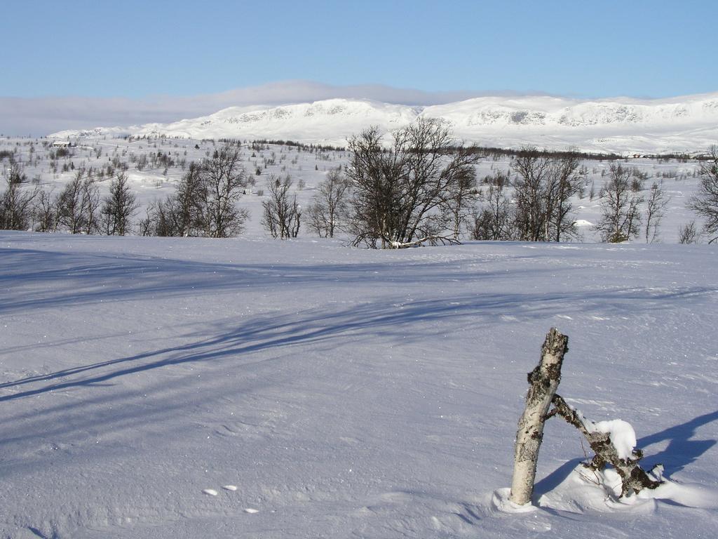 Birkelund Camping ヤイロ エクステリア 写真